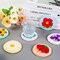 Punch Needle Coaster Kit for Beginners – 6 Floral Patterns, Embroidery Punch Needle Kit with Yarn, Adhesive Felt, Hoop, Instructions – DIY Coaster Art for Adults & Kids
